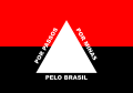 Bandeira de Passos