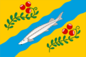 Flag of Nyuksensky District