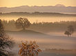 LSG Westlicher Teil des Landkreises Starnberg