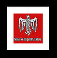 Militärbefehlshaber (Commander of all civil institutions in an occupied territory)
