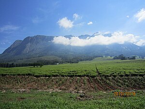 Mount Mulanje, a large inselberg in southeastern Malawi