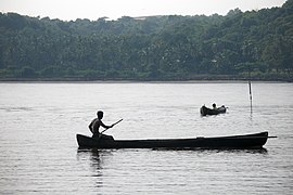 Panaji, Goa, India, Fishing boats, Mandovi River.jpg