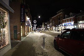 Princess Street Kingston between Clergy and Sydenham.jpg