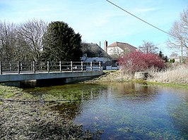 Rivier de Bourne in Newton Tony