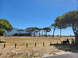 Rondebosch East Common looking towards Table Mountain.