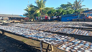 Mga tamban mula sa Rosario, Cavite