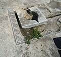 Mosaic and basin for collecting rainwater in the peristyle