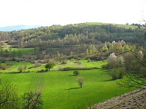 Mrzlo polje