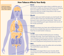 Diagrama del cuerpo humano con texto