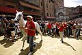 13 agosto 2011, il popolo della Contrada della Giraffa festante: si è aggiudicato un "bombolone", un cavallo fortissimo, ossia Fedora Saura, che infatti vincerà quel Palio