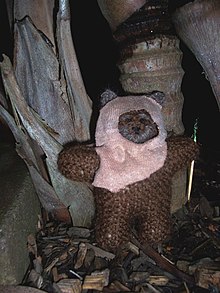 Peluche ressemblant à un ourson.