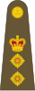 Colonel der British Army