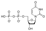 Estructura quimica de la desoxiuridina difosfat