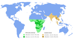 ゾウ類の分布 茶色がアジアゾウ、緑色がアフリカゾウ属。薄い部分は20世紀には野性個体群が生息していた地域。