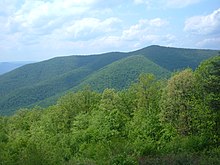 Knob Mountain.jpg