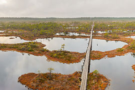 Männikjärve raba tornist.jpg