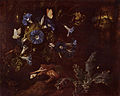 Otto Marseus van Schrieck, Blaue Winde, Kröte und Insekten (1660) toont een etende pad.