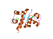 1rwe: Enhancing the activity of insulin at receptor edge: crystal structure and photo-cross-linking of A8 analogues