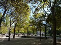 Parc Georges-Brassens