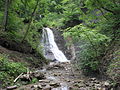 Mittlerer Schleifebach-Fall bei Blumberg