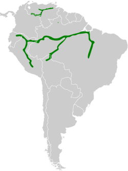Distribución geográfica del piojito ribereño.