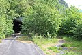 Stabbegjølet tunnel, vestside