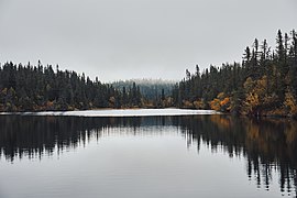 Svartdalstjerna Lakes Primeval Forest Nature Reserve of the Totenaasen Hills in Norway 55.jpg