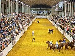 A koleo egy hagyományos sportág, amely hasonló az észak-amerikai rodeóhoz