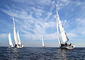 U.S. Sailing Team