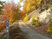 Wegzeichen mehrerer Wanderwege am Steig