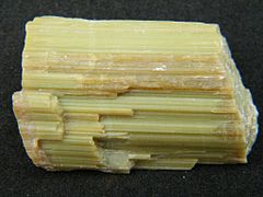 Picrolite (antigorite) de Quebec com cor e forma semelhante a um vegetal.