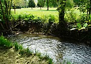 La Beauronne en limite du golf de Saltgourde.