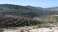 „Land der Oliven und des Weins“ – Kulturlandschaft von Südjerusalem, Battir