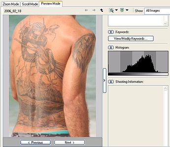 Photograph in photo editing software - histogram shows the number of pixels of varying brightness