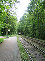 Stadtwald - route through city forest