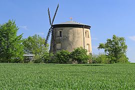 Windmühle Tettau in Sachsen 2H1A1280WI.jpg