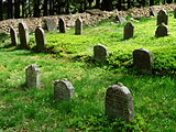 Čeština: Náhrobky na židovském hřbitově u vsi Olšany v okrese Jindřichův Hradec, Jihočeský kraj. English: Gravestones in the Jewish cemetery by the village of Olšany, Jindřichův Hradec District, South Bohemian Region, Czech Republic.