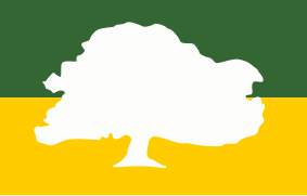 Bandera de Roscio (Bolívar).svg