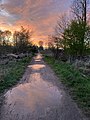 Sonnenuntergang über den Karower Wiesen