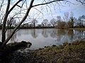 L'étang du Clairet (source de l'Erdre).