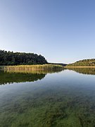 Kastavensee im LSG Norduckermaerkische Seenlandschaft Ansicht 1.jpg