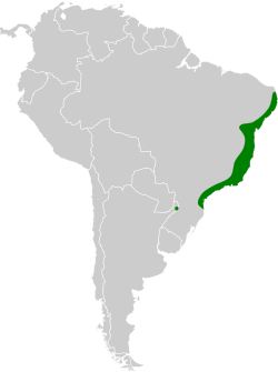 Distribución geográfica de la tangara brasileña.