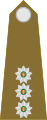 Kaptein South African Army