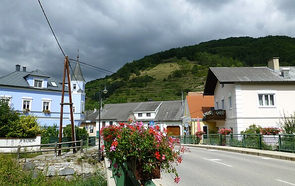 Senftenberg, Kremstal, Abandoned vineyards