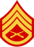 Three chevrons up and one rocker with crossed rifles