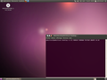 Ubuntu 10.04 «Lucid Lynx».