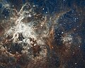 Vista panorâmica do Hubble de uma região formadora de estrelas no super aglomerado de estrelas, chamada R136.
