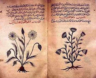 Esempio di scrittura naskh in un trattato di medicina del XIV secolo