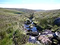 Bledge Brook, southern Dartmoor