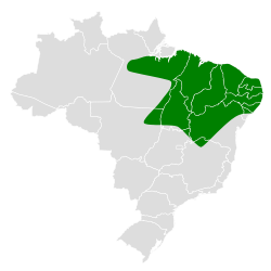 Distribución geográfica del burlisto gorgigrís.